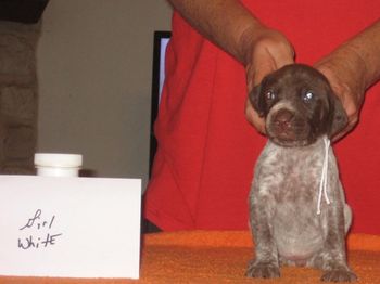 3 weeks old
