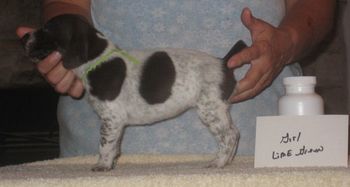 Girl Green wks old SOLD-Rae
