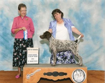 May 5, 2012 Caddo Kennel Club of Texas 1 pt under Judge Patricia Taylor. This is Sarah's first time in the show ring.
