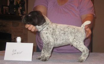 4 weeks old
