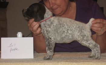 4 weeks old
