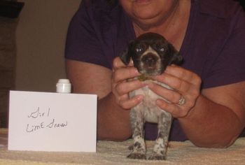 4 weeks old
