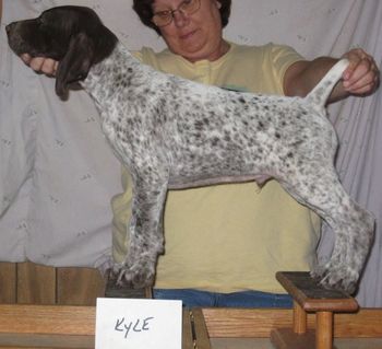 9 weeks old
