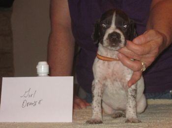 4 weeks old
