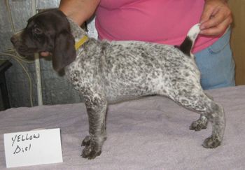 5 weeks old
