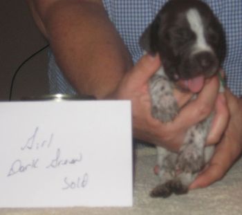 3 weeks old
