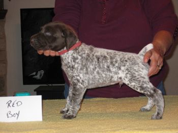 4 weeks old
