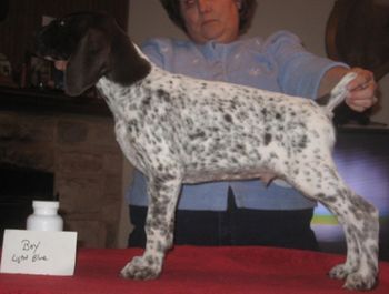 9 weeks old
