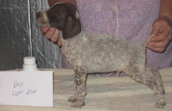 7 weeks old
