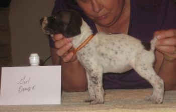 4 weeks old
