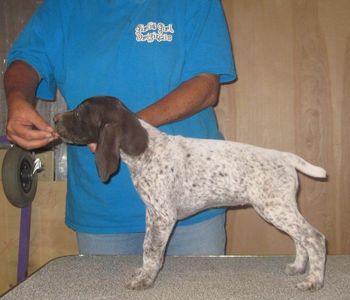 8 weeks old
