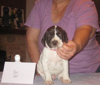 4 weeks old
