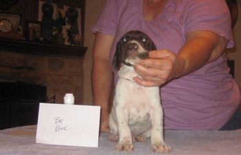 4 weeks old

