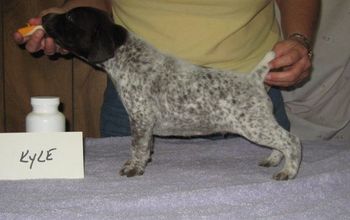 4 weeks old
