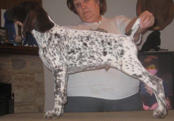 11 weeks old
