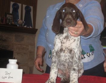 9 weeks old
