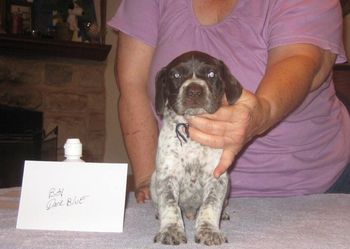 4 weeks old
