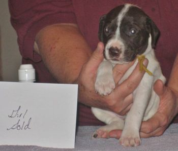 3 weeks old

