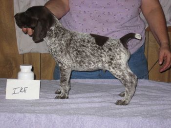6 weeks old
