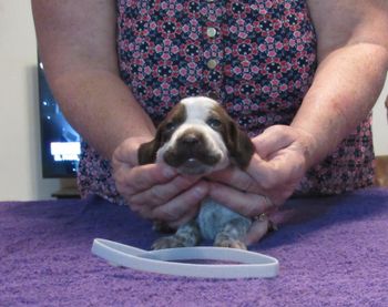 3 weeks old
