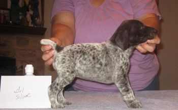 4 weeks old
