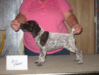 6 weeks old
