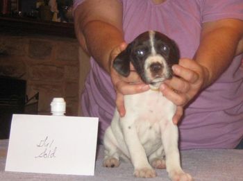 4 weeks old

