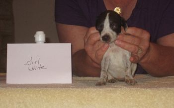 4 weeks old
