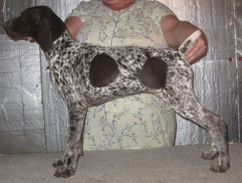 3 months old
