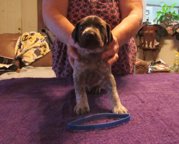 4 weeks old
