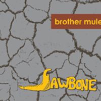 BROTHER MULE: JAWBONE CD