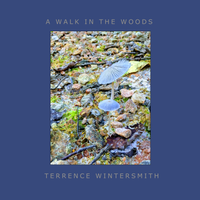 A Walk In The Woods by Terrence Wintersmith