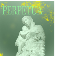 Perpetua (excerpt) by J RING