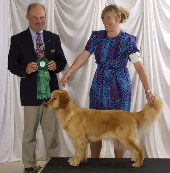 Kansas City Golden Retriever Club Breeder/Judge: Col Jonathan Chase Judges Award of Merit Handler: Co-Breeder Sharon Bolton
