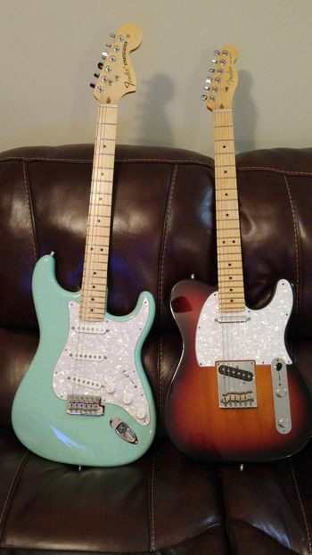 My Fender Siblings
