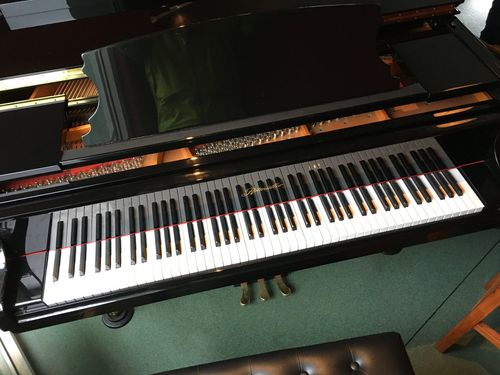 Ritmüller Piano. Not to be confused with "Ritmüler", which was an old historic builder from the early 1800's out of Germany. What is being shown here is just a Pearl River piano built in China, probably less than 20 years old.