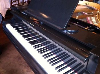 An 1848 Bösendorfer imported to Sonoma County from Austria back around the 1960’s.

