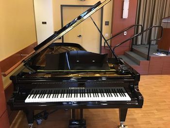 A 9’ long 1980 C. Bechstein! These roll out of the showroom with a price tag of over $200,000.
