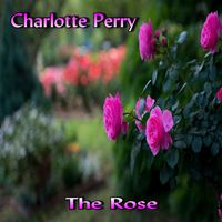 The Rose by Charlotte Perry