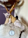 Kitten walking jacket 