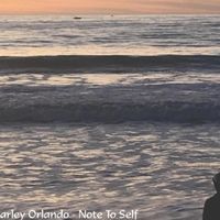 Note To Self by Charley Orlando