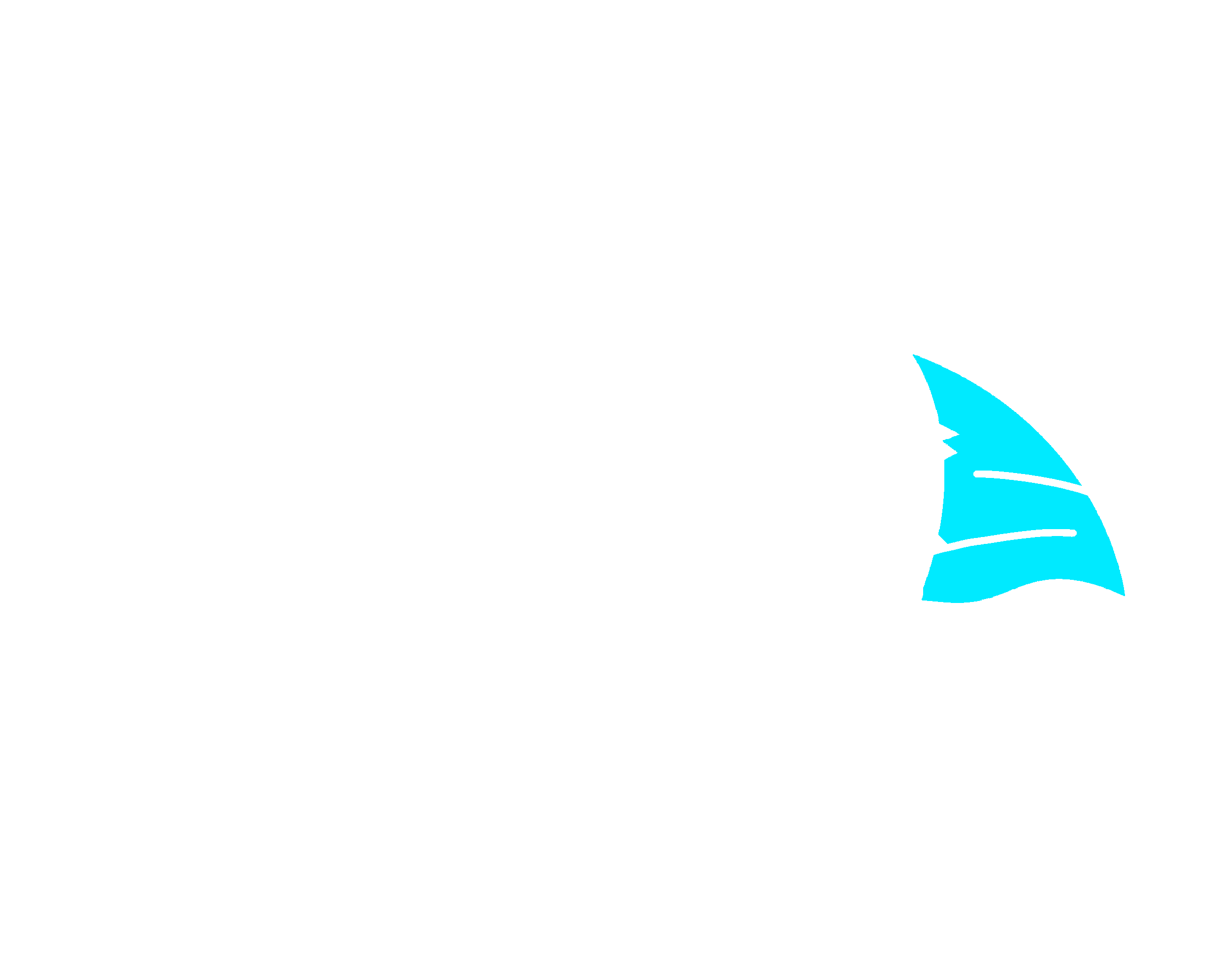 H.W.N.S