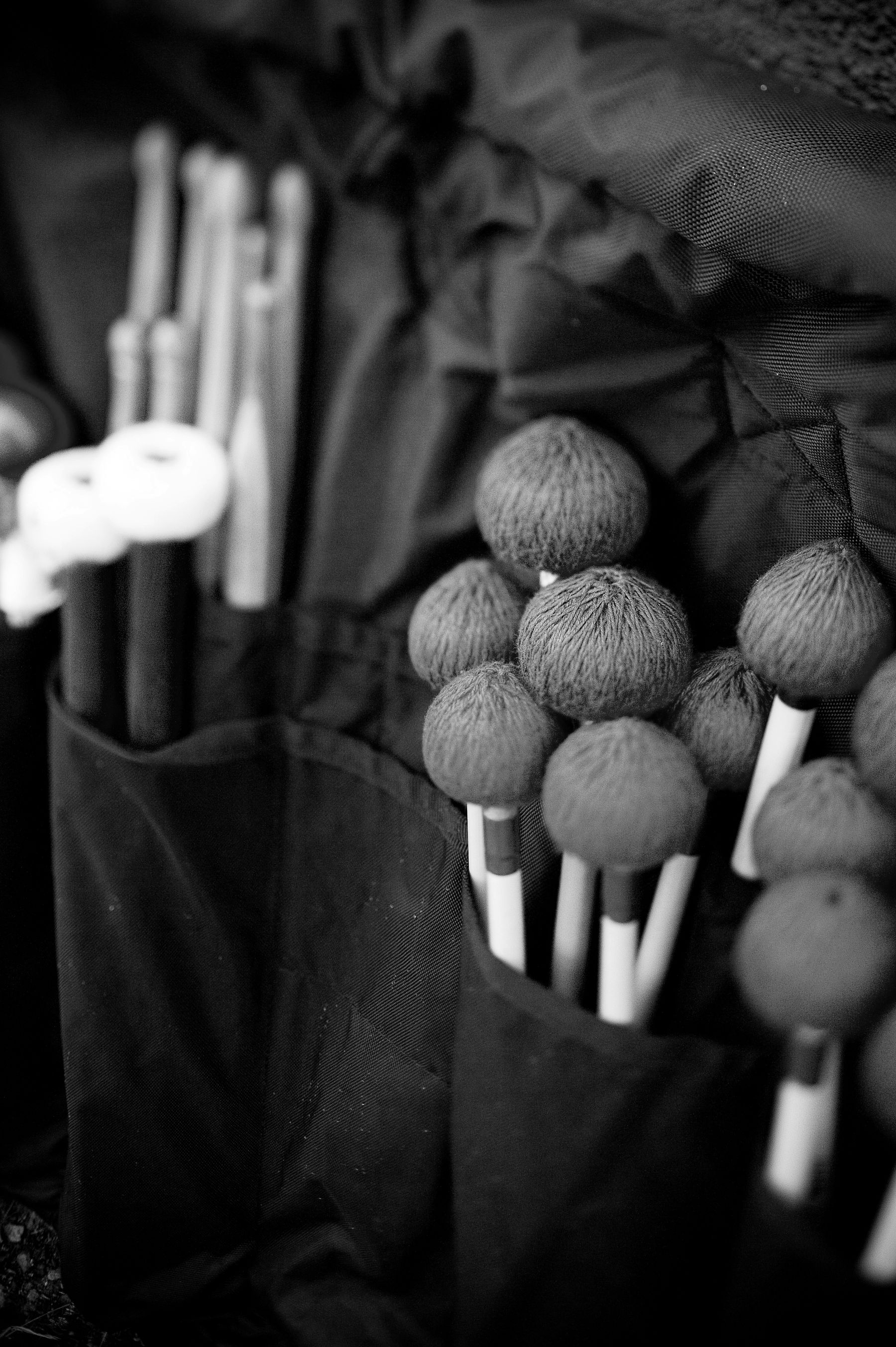 TorQ Percussion Quartet schedule