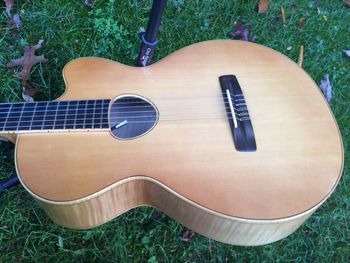 Peter's Nylon String Recorded with this hand-made guitar from luthier Roger Borys
