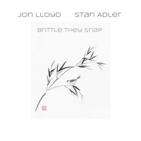 Brittle They Snap by Lloyd | Adler Duo