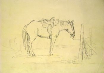 Horse_at_Ganado_1950
