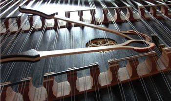 Hammer Dulcimer built by Ken Stika
