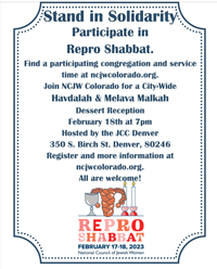 In support of REPRO SHABBAT : Havdalah and Melava Malkah (meal honoring the end of Shabbat)