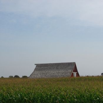 Corn Flood
