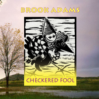 Checkered Fool by brookadams